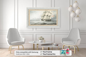 Deco TV Frames Samsung the Frame TV Contemporary Silver
