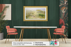 Deco TV Frames Samsung the Frame TV Gatsby Gold