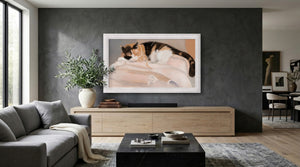 Deco TV Frames Samsung the Frame TV Tuscan Gloss White