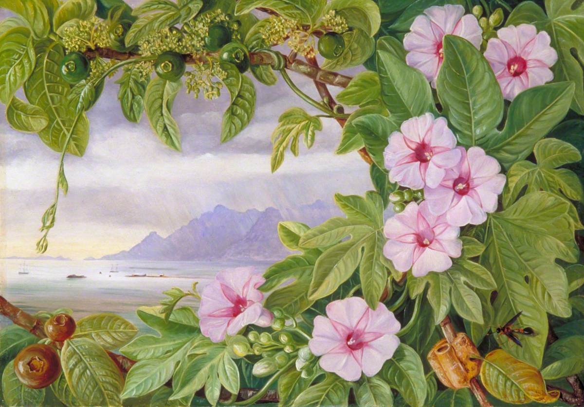 Botanical Artists & Timeless Art Inspiration | Deco TV Frames