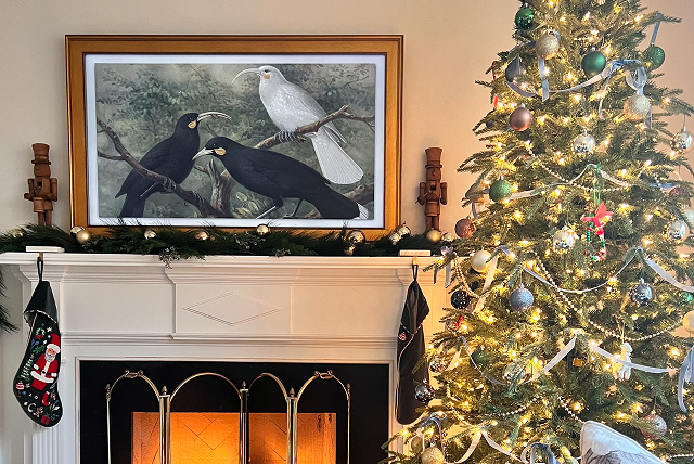 A Samsung Frame TV and a Deco Frame let you create a smart TV wall.