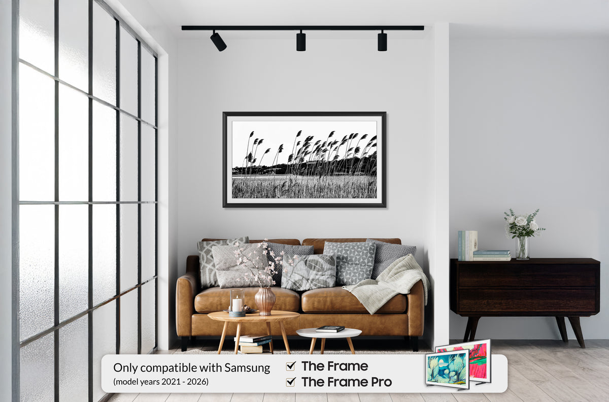 Anodized Black - Alloy Prismatic Samsung Frame TV Bezel