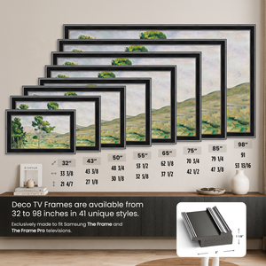 Deco TV Frames Samsung the Frame TV Antique Silver and Black