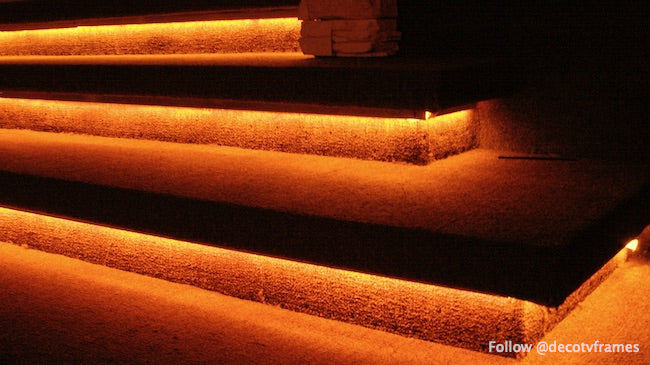 Lanzamiento de bandadas en el Hotel Júpiter9