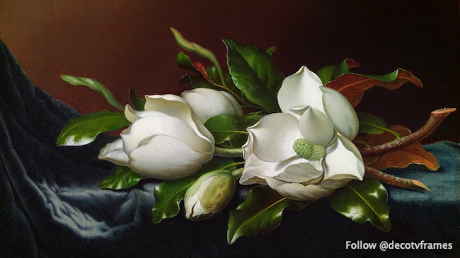 Magnolias sobre tela de terciopelo azul claro (ca. 1885) 