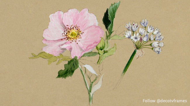 Flower Study (1876â€“1878)