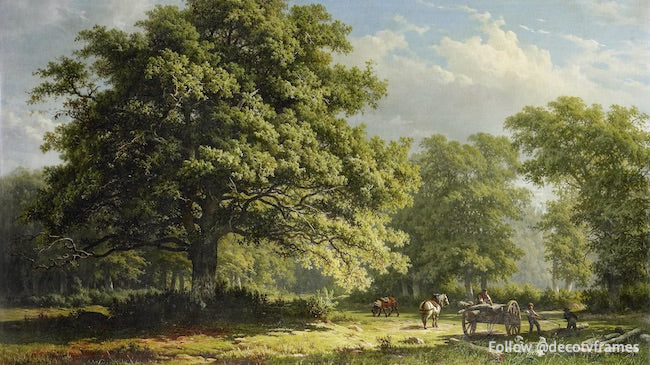 View in the Bentheim Forest