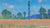 Poppy Field, Giverny (1890â€“1891)