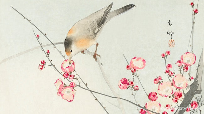 Pájaro cantor en rama en flor (1900 - 1936) 